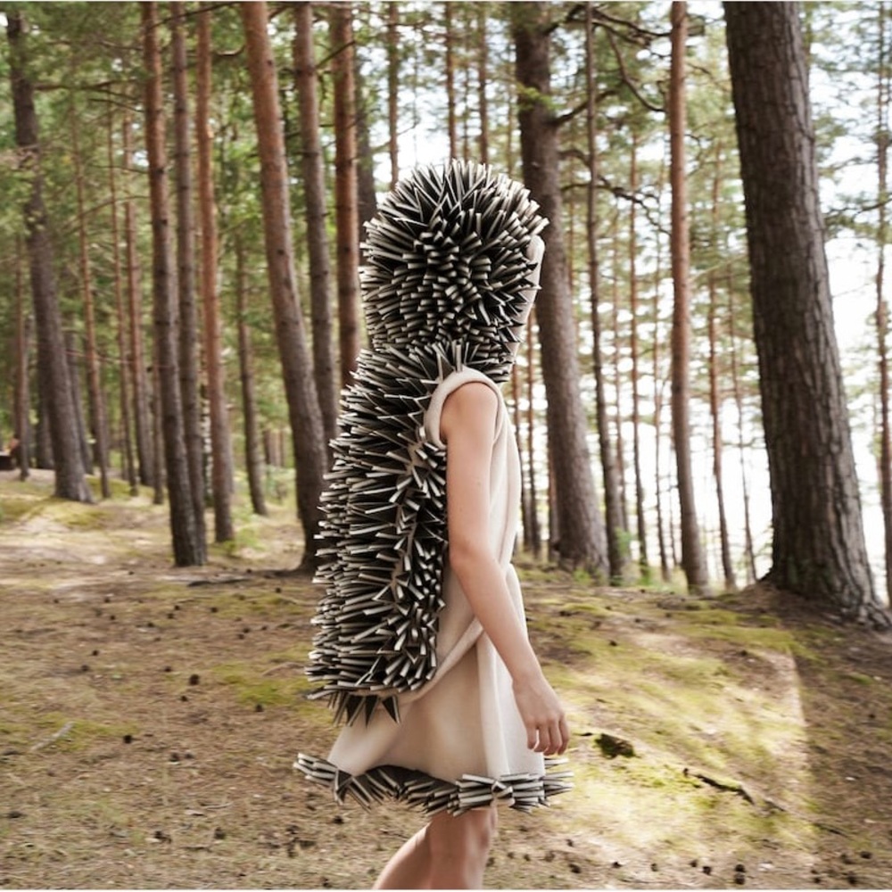 Children’s Hedghog Costume